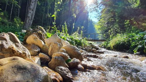 Canionul 7 Scări din Brașov va fi deschis pe 1 Mai / ”Vă recomandăm să aveţi la dumneavoastră o hăinuţă un pic mai groasă”