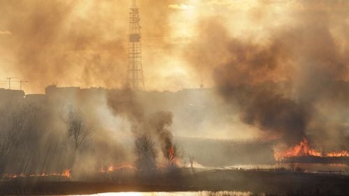 Incendiul a afectat 20 de ha din Parcul Natural Văcărești, în mare parte stuf. Nu s-au găsit animale moarte / „Principalul combustibil al focului este stuful. Când este uscat, se transformă într-un băț de chibrit, la orice scânteie”