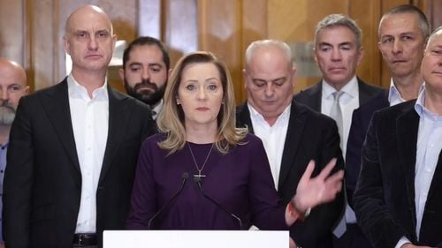 Elena Lasconi, întâlnire cu oamenii de afaceri români / Dan Șucu, președintele confederației Concordia: Trăiesc într-o Românie europeană, suverană, independentă, apărată de cea mai importantă alianță militară a lumii. Nu văd de ce aș schimba acest lucru