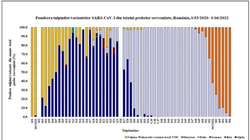 Subvarianta mai contagioasă a coronavirusului, BA.2, a ajuns la peste 5% din infectările cu Omicron în România, potrivit INSP