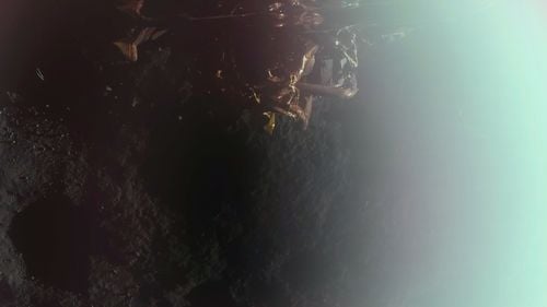 O navă spaţială privată americană a aselenizat