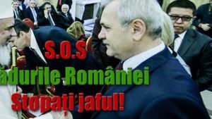 Petiție împotriva inițiativei legislative a lui Liviu Dragnea prin care bisericile vor primi sute de mii de hectare de pădure: PSD cumpără susținerea electorală a Bisericilor printr-o pomană fără precedent în istoria recentă a României