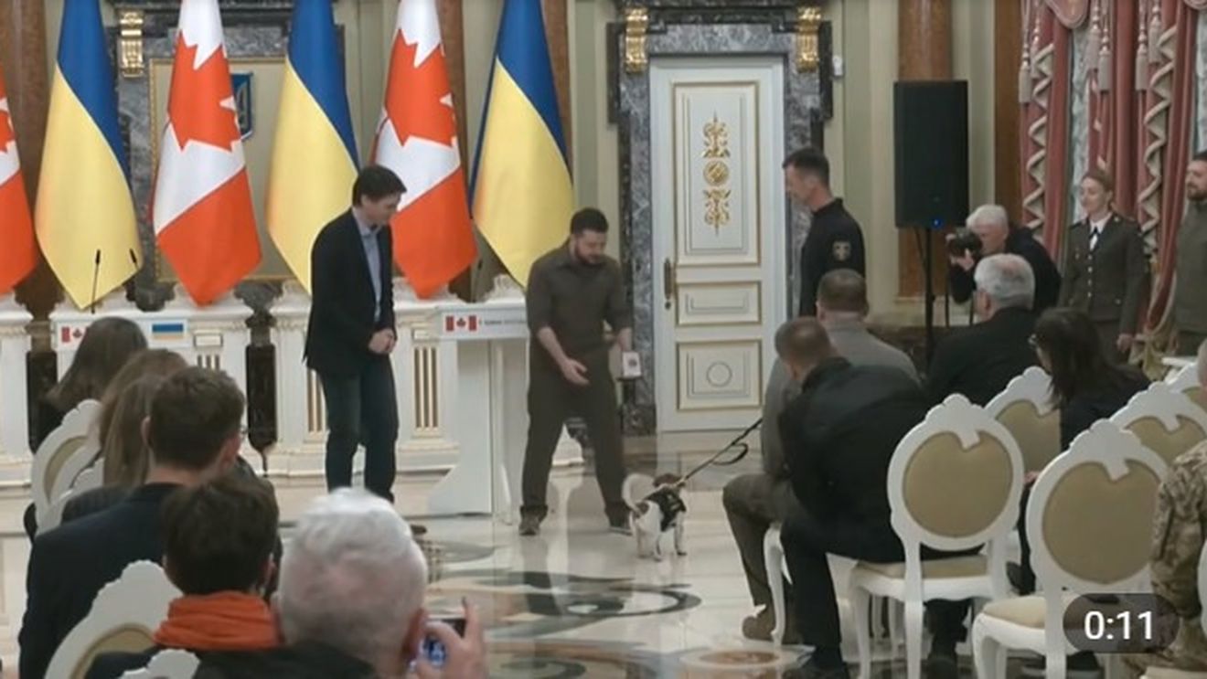 VIDEO Zelenski l-a decorat pe câinele-legendă Patron, ca pirotehnist ucrainean, în prezența premierului canadian Justin Trudeau