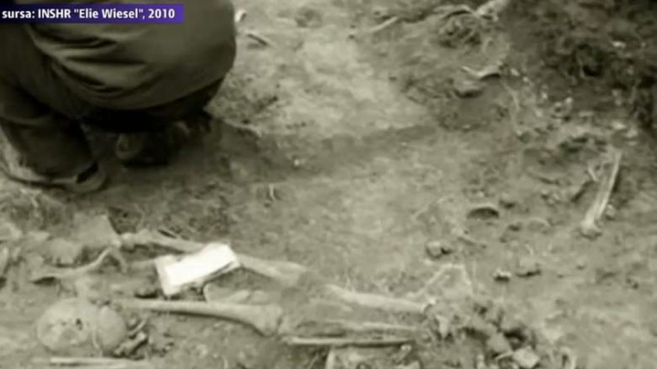 Descoperire istorică în judeţul Iaşi. Groapă comună din timpul războiului descoperită într-o pădure