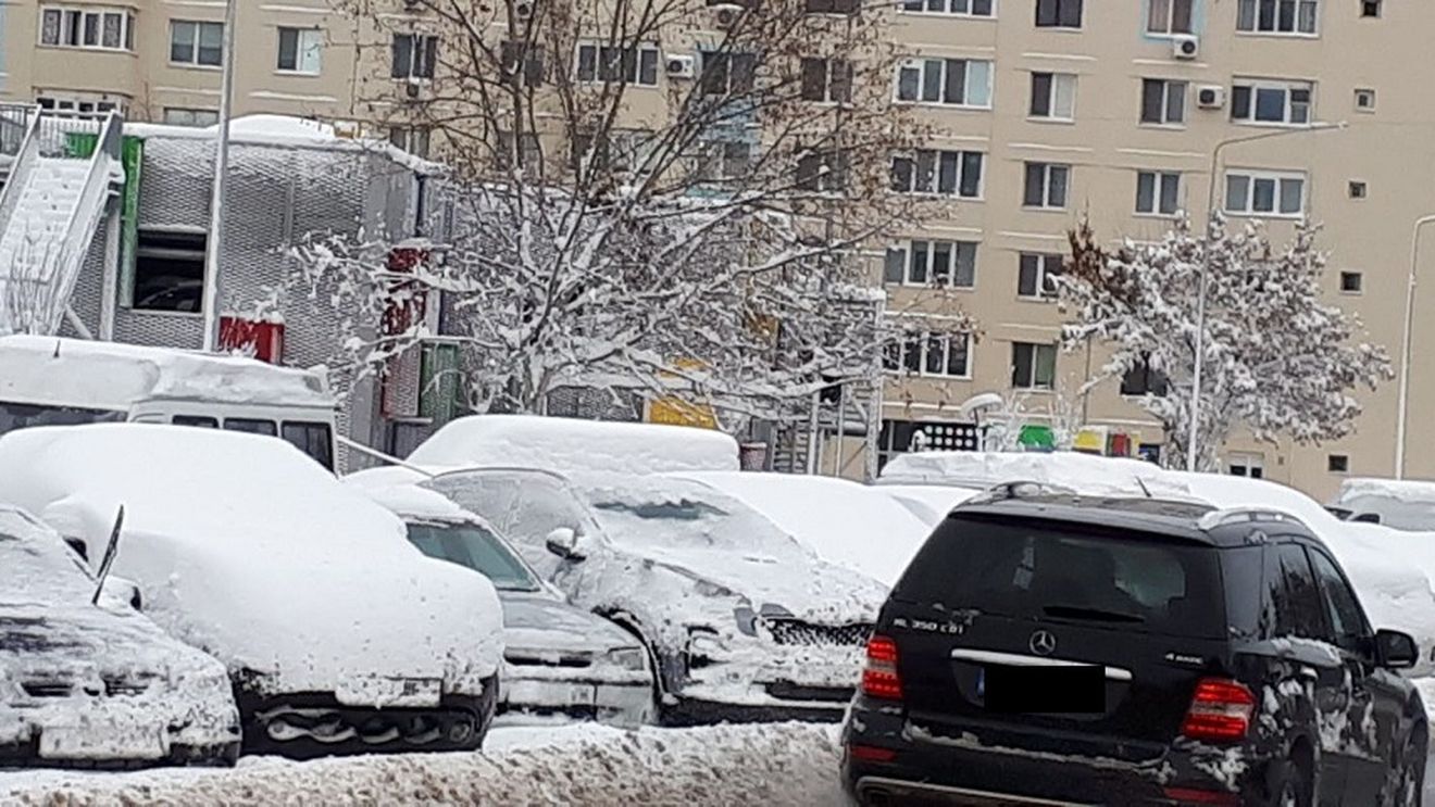 Bilanțul viscolului în București: 104 copaci prăbușiți, 4 panouri publicitare luate de vânt