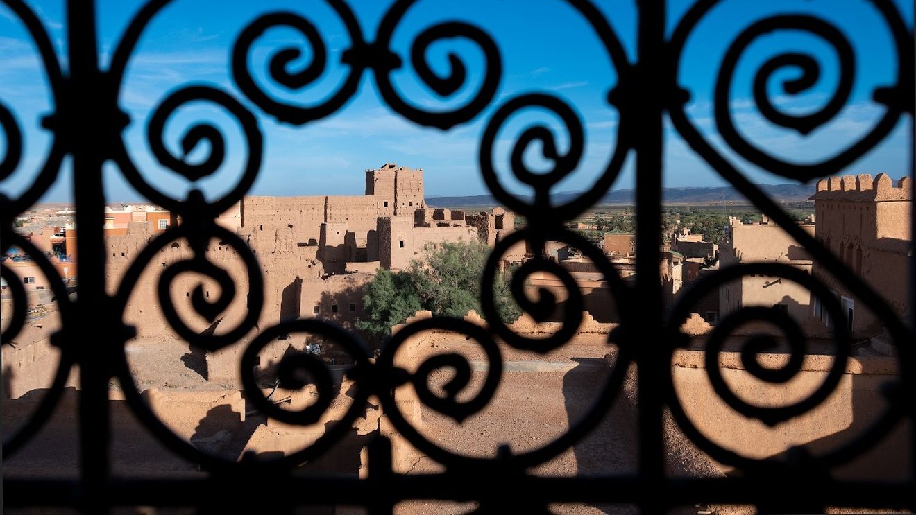 Cupa Mondială de fotbal 2030: Marocul ar putea ucide trei milioane de câini vagabonzi pentru a „curăţa” străzile