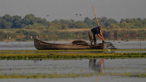 DOCUMENT Scandalul Bîstroe. Ministerul Mediului a făcut singurul studiu de impact al dragărilor de pe canal în 2005, susține Rezervația Biosferei Deltei Dunării: "La acest moment nu se poate face o evaluare fundamentată a impactului asupra mediului"