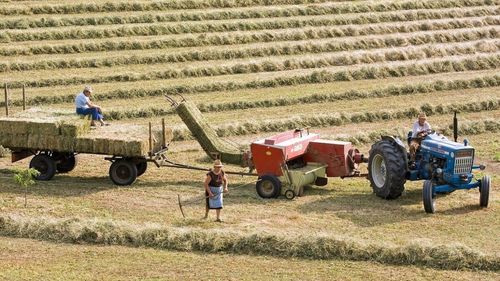 Cea mai mare asociere de fermieri cere 14 măsuri urgente de la guvern. În cazul nerezolvării loc, amenință cu un protest la nivel național
