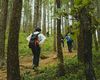 Toate traseele turistice montane din Prahova au fost redeschise