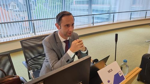 Alin Nica, susținător al lui Florin Cîțu, a fost ales preşedinte al PNL Timiş. Alegerile - în absența celor doi candidați la șefia partidului