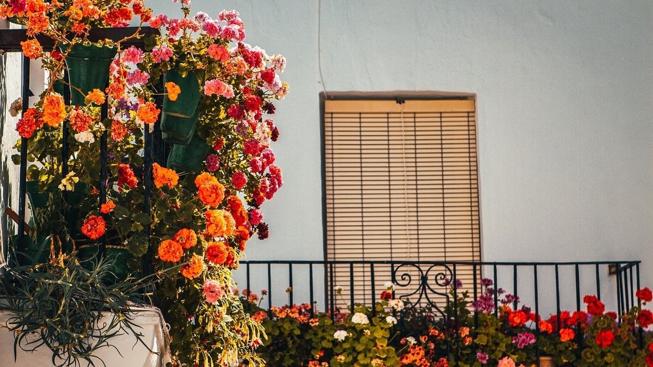 Record de proprietari polonezi în Spania: Est-europenii încep să-şi cumpere case în Occident în care să se pună la adăpost de război (CNN)