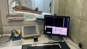 Mumie umană și organe umane mumificate, investigate cu ajutorul computerului tomograf la Universitatea de Științe Agricole și Medicină Veterinară din Cluj-Napoca