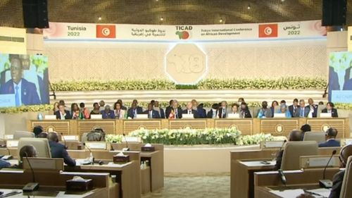 Declarația TICAD: Războiul din Ucraina a provocat o criză alimentară în Africa /Japonia va aloca 30 de miliarde de dolari în următorii trei ani pentru dezvoltarea Africii