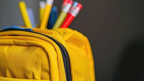 Cardurile educaționale pentru anul școlar 2025-2026 vor fi încărcate în luna noiembrie, anunță ministrul Educației Daniel David