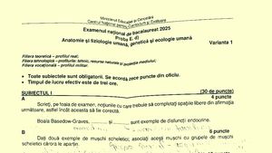 Subiecte Biologie – Anatomie umană BAC 2025