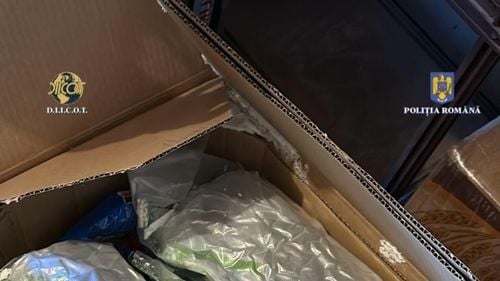 Brașovean de 31 de ani, reținut după ce a adus în țară jumătate de kilogram de cocaină / Drogurile erau din Italia și erau aduse printr-o firmă de curierat