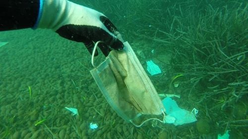 „Mai multe măști decât meduze”: Deșeurile pandemiei coronavirus sfârșesc în ocean
