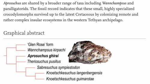 Cercetătorii de la Babeș-Bolyai au descoperit o nouă specie de crocodil în Bazinul Hațeg: crocodilifomul pitic