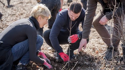 Raluca Turcan: Dimineaţă, la prima oră, finuţa mea s-a dus să plătească amenda