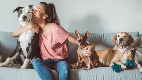 Primăvara Problemelor: Cum să eviți majoritatea vizitelor costisitoare la veterinar în funcție de sezon