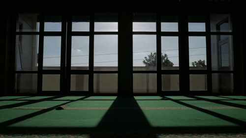 Povestea atleților egipteni care ajung campioni la Jocurile Olimpice din sălile înguste și uzate ale cluburilor sportive
