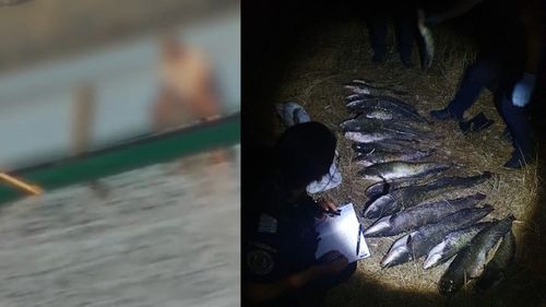 Doi bărbați care braconau pe râul Mureș folosind curent electric, prinși de jandarmi / Aveau în barcă 19 bucăți de somn