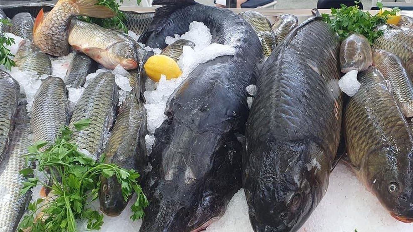 Atenție sporită la consumul de pește. În București au fost confiscate 500 de kg de pește și produse din pește