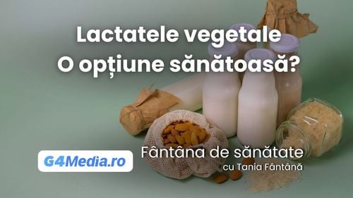 Tot ce trebuie să știi despre lactatele vegetale: avantaje și dezavantaje dacă le consumi