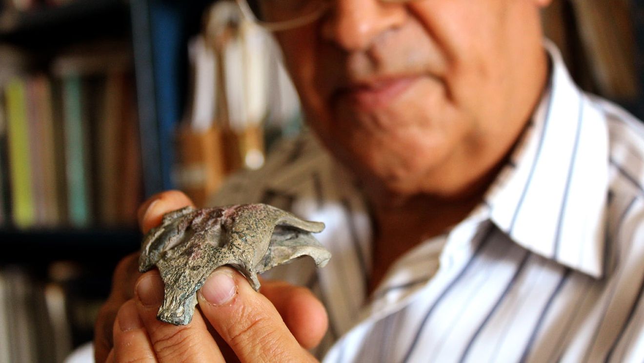Descoperire în Chile: Fosile cu o vechime de 150 de milioane de ani, ale unui bunic al crocodilului de astăzi