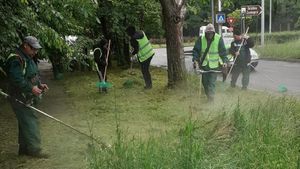 Primarul Capitalei susține că a început cosirea ierbii în parcuri / Gropile din asfalt ar urma să fie reparate în decurs de două luni