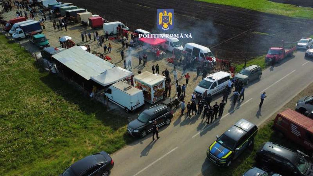 Un târg de cai organizat ilegal într-o comună din Bistrița-Năsăud a fost oprit de polițiști/ Amenzi de peste 50.000 de lei