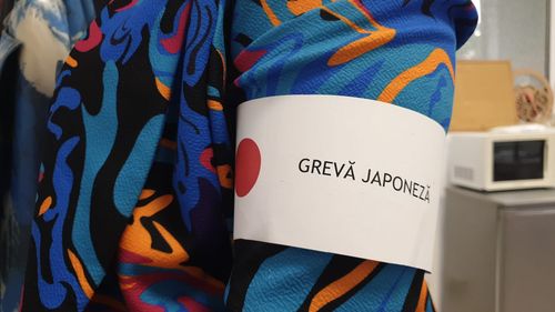 Grevă japoneză la Direcția de Asistență Socială Harghita / Protestarii susţin că nu îşi vor primi salariile