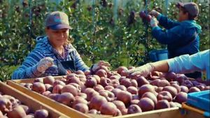 Liberalizarea comerțului Republicii Moldova cu Uniunea Europeană, prelungită pentru încă un an / Șapte produse moldovenești fără taxe de import