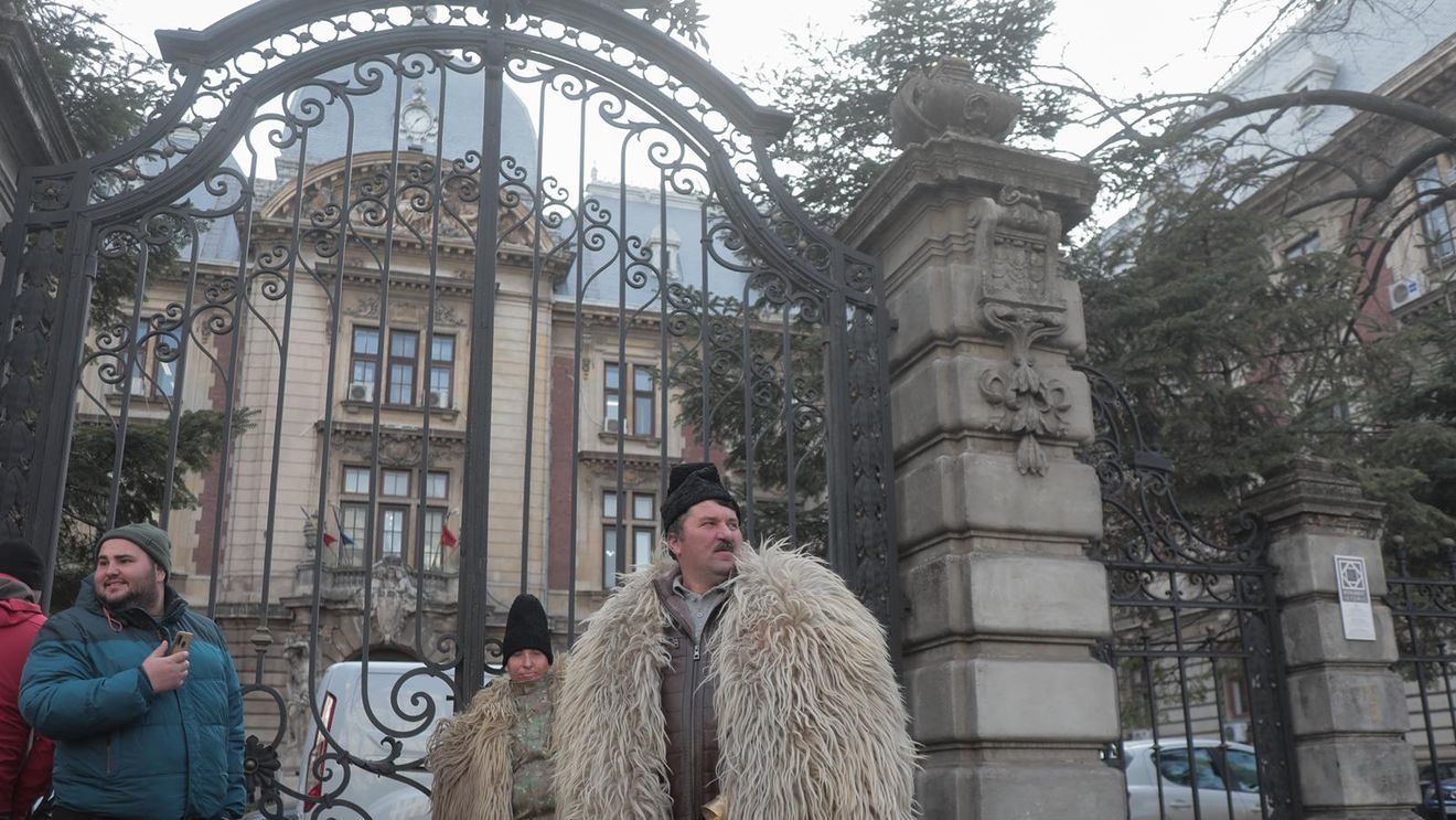 Crescătorii de oi protestează vineri pentru că nu și-au primit subvențiile / ”Trebuie să lucrăm la străini, că acolo e mai bine”