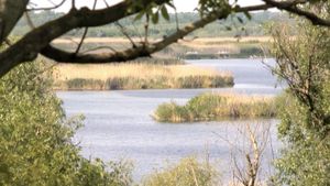 Stare de urgenţă declarată în Rezervaţia Srebarna din Bulgaria din cauza nivelului critic de scăzut al apei