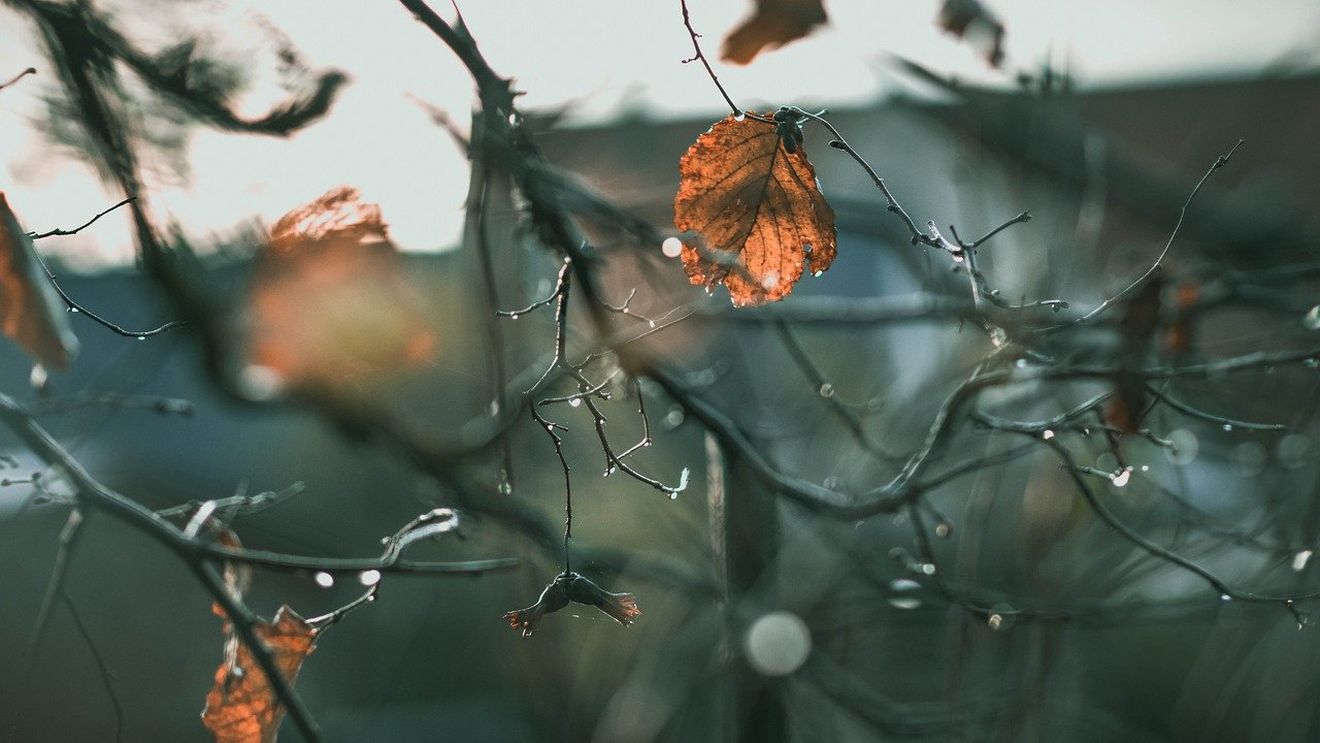 METEO: Cerul va fi mai mult noros şi va ploua în următoarele zile în Bucureşti