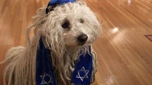 Mark Zuckerberg a postat pe Facebook o poză cu câinele său care poartă kippa și șal de rugăciune evreiești.  Avalanșă de reacții antisemite