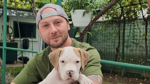 VIDEO | Când începi dresajul câinelui tău: Recomandările unui instructor autorizat / Laurențiu Negrău, dresor cu șapca întoarsă: ”Câinele trebuie să știe încă de la început care sunt regulile casei”