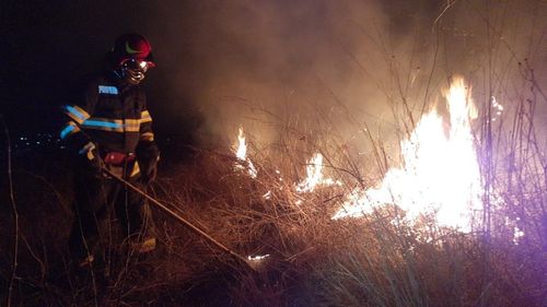 Aproximativ 90 de hectare de vegetație uscată, incendiate în județul Tulcea