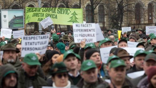 Ministrul Mediului, după protestul silvicultorilor: Merg înainte. Rămân de neclintit în privinţa reorganizării Romsilva, eliminării suprabeneficiilor care gripează bugetul şi deschid calea abuzurilor