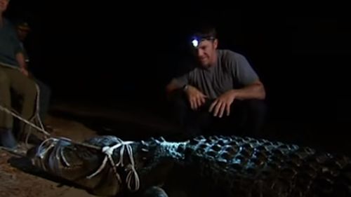 Un renumit expert britanic în crocodili recunoaște că a abuzat sexual zeci de câini