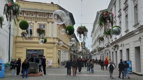 Timișoara înregistrează cea mai mare creștere a numărului de vizitatori, dintre toate destinațiile urbane din țară, pentru al doilea an consecutiv