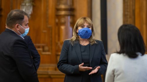 Revocarea Ancăi Dragu din funcția de președinte al Senatului, analizată joi de Curtea Constituțională