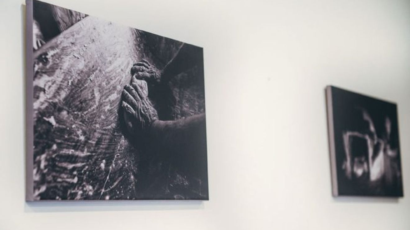 ”Paradisul evitat”, o expoziţie cu fotografii din Ţinutul Secuiesc şi regiunea în care trăiesc ceangăi se va deschide în Parlamentul României