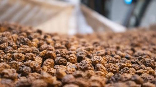 Ulei comestibil obținut de spanioli dintr-o buruiană: Comisia Europeană a autorizat uleiul de migdale de pământ ca aliment nou / Acesta poate fi folosit în produse de panificație și sosuri pentru salate