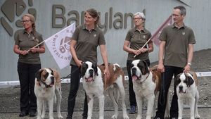 Câinii Saint Bernard continuă să patruleze Alpii elvețieni. Un muzeu unic le păstrează vie istoria și tradiția