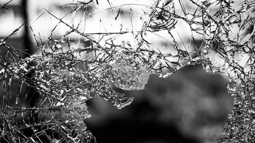 Apeluri de urgență la poliție cu părinți agresați de proprii copii în Suceava / Două cazuri doar duminică