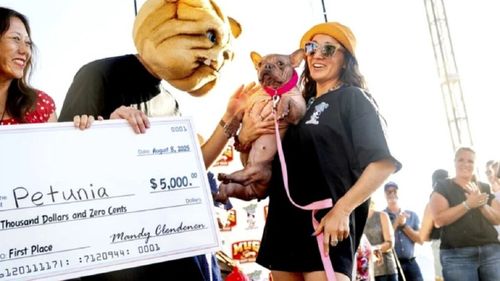 VIDEO | Un bulldog francez fără păr și cu fața ridată, desemnat cel mai urât câine din lume. Povestea Petuniei care a câștigat inimile juriului și premiul de 5.000 de dolari