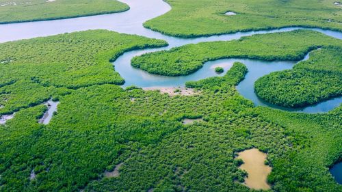 Cea mai gravă secetă înregistrată vreodată în Amazonia, atribuită schimbărilor climatice, reduce nivelurile râurilor la minime istorice