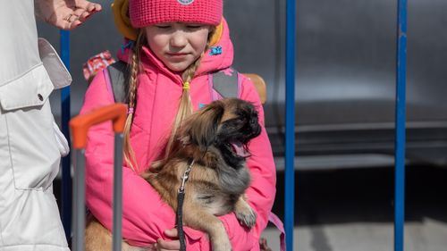 646.087 de ucraineni au intrat în România din 10 februarie și 4332 au solicitat o formă de protecție din partea statului